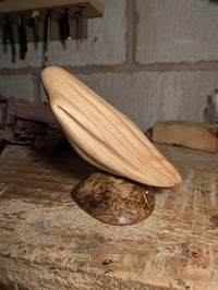 Image of 3. Pine Ghost on Driftwood