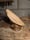 Image of 3. Pine Ghost on Driftwood