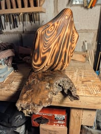 Image of 4. Pine Ghost on Driftwood