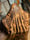 Image of 4. Pine Ghost on Driftwood