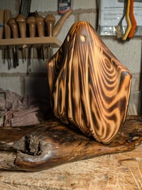 Image of 4. Pine Ghost on Driftwood