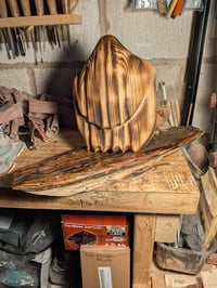 Image of 4. Pine Ghost on Driftwood