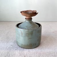 Image 2 of a sage grav