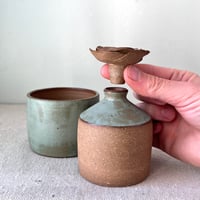 Image 4 of a sage grav