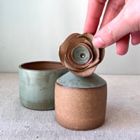 Image 5 of a sage grav