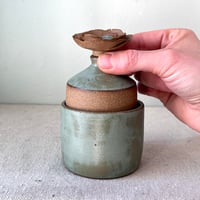 Image 3 of a sage grav