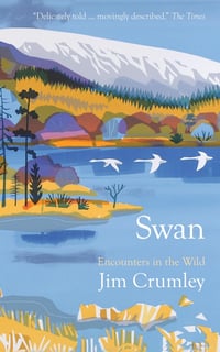 Swan (Encounters in the Wild) 