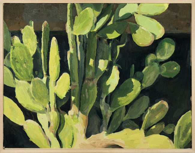 Cactus Study