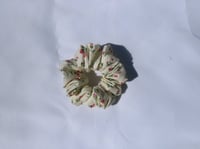 Image 1 of Ditsy Fleur Floral