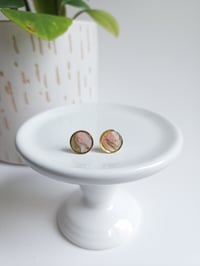 Image 1 of Moss Meadows Marble Button Studs 