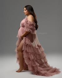Image 5 of Fabiana Gown