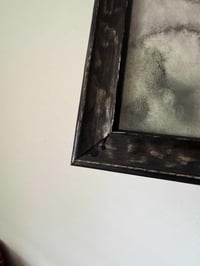 Image 2 of Spectacular Optical (Tim Christopherson)