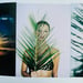 Image of (Mark Borthwick) (Synthetic Voices)