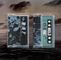 Image 2 of Mold / Rose Ceremony split tape