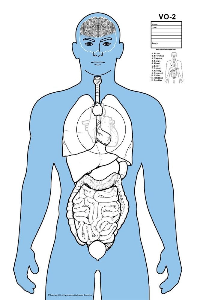 Vital Organ Targets — White and Blue Target