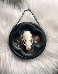 Image 1 of Hanging Mink Skull 