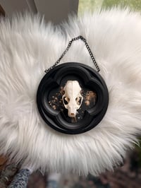 Image 3 of Hanging Mink Skull 