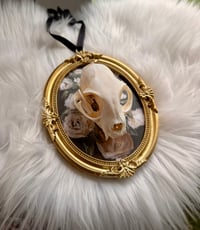 Image 1 of Hanging Kitty Skull