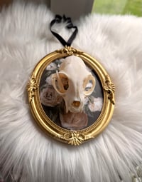 Image 2 of Hanging Kitty Skull