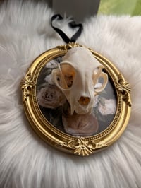Image 3 of Hanging Kitty Skull