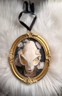 Image 4 of Hanging Kitty Skull