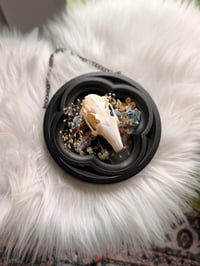 Image 2 of Hanging Rabbit Skull