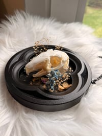 Image 3 of Hanging Rabbit Skull