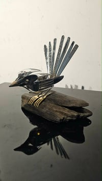Image 1 of Perched Pīwakawaka