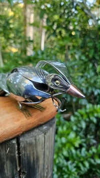Image 3 of Tui Perched