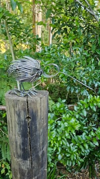 Image 1 of Forked Kiwi - Silver