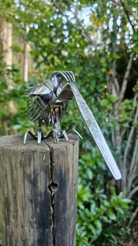 Image 2 of Forked Kiwi