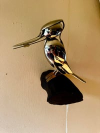 Image 1 of Kōtare (Kingfisher)