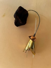 Image 1 of Kōwhai Bloom 2