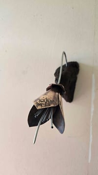 Image 3 of Kōwhai Blooming