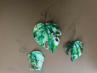 Kawakawa Leaves