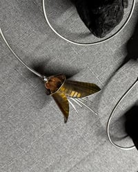 Image 1 of Kōwhai Spiral