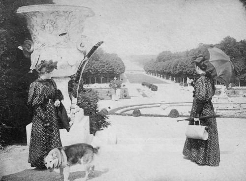 Image of VERSAILLES