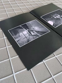 Image 4 of Latent