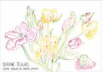 A3 Tulips Poster Landscape