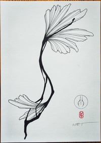 GueT X Sanne Vaghi - Gingkos 1