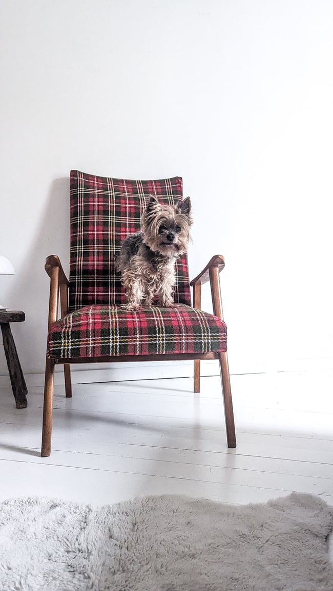Fauteuil tissu tartan 