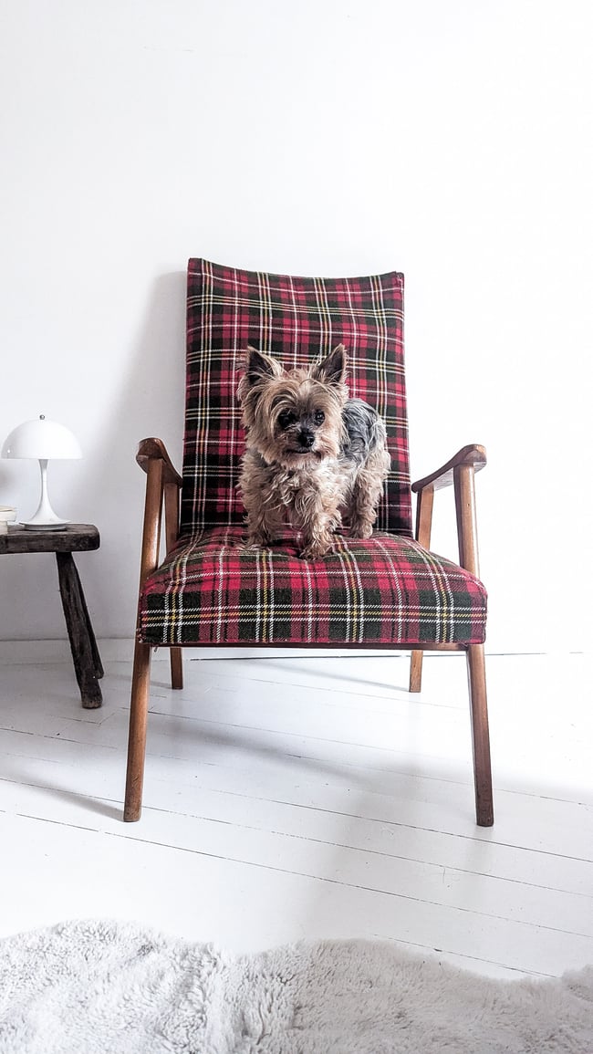 Fauteuil tissu tartan 