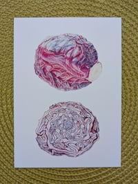 Image 1 of Art Cards - Special Collection BOTANICAL AND MORE *NEW*