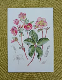 Image 4 of Art Cards - Special Collection FLOWERS *NEW*