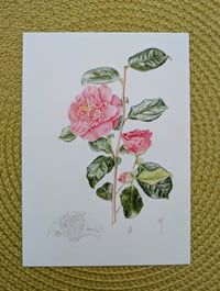 Image 2 of Art Cards - Special Collection FLOWERS *NEW*