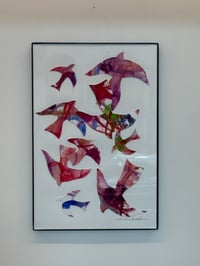 Water Color Birds