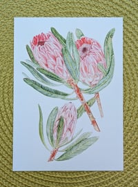 Image 5 of Art Cards - Special Collection FLOWERS *NEW*