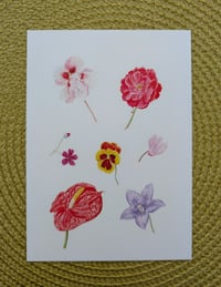 Image 3 of Art Cards - Special Collection FLOWERS *NEW*
