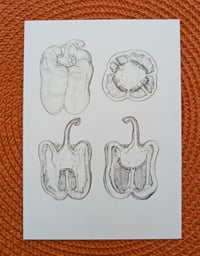 Image 2 of Art Cards - Special Collection BOTANICAL AND MORE *NEW*