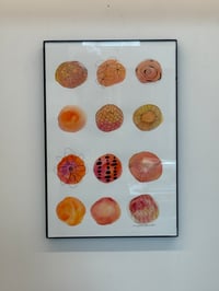 Color me Orange